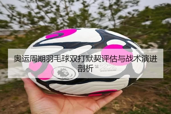 奥运周期羽毛球双打默契评估与战术演进剖析