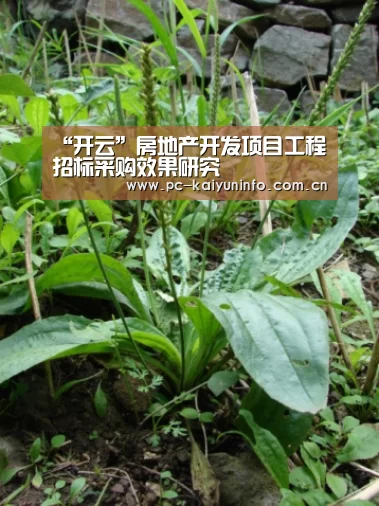 “开云”房地产开发项目工程招标采购效果研究(图1) 开云